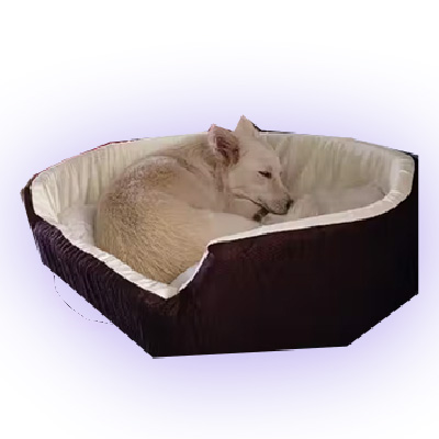 Untitled-1n Dream Dog bed-Cat bed sofas small size(WxH - 61x23 Cm)