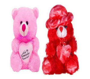 Valentine's day special Teddy combo